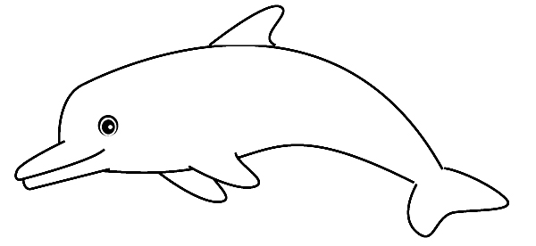 Free coloring pages of dusky dolphin