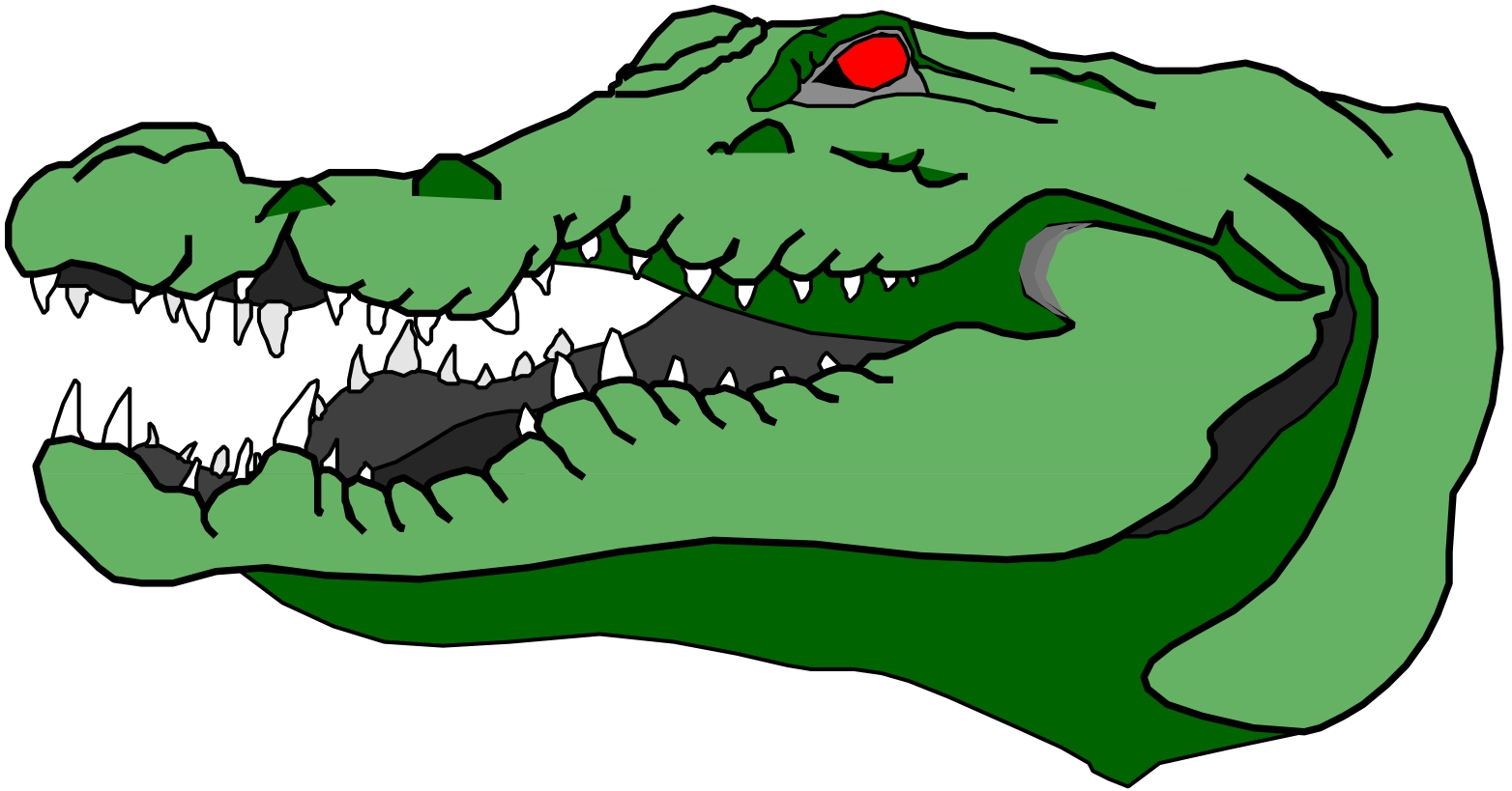 Cartoon Picture Of Alligator - Cliparts.co