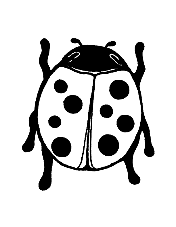 Pin Lady Bug Outline on Pinterest