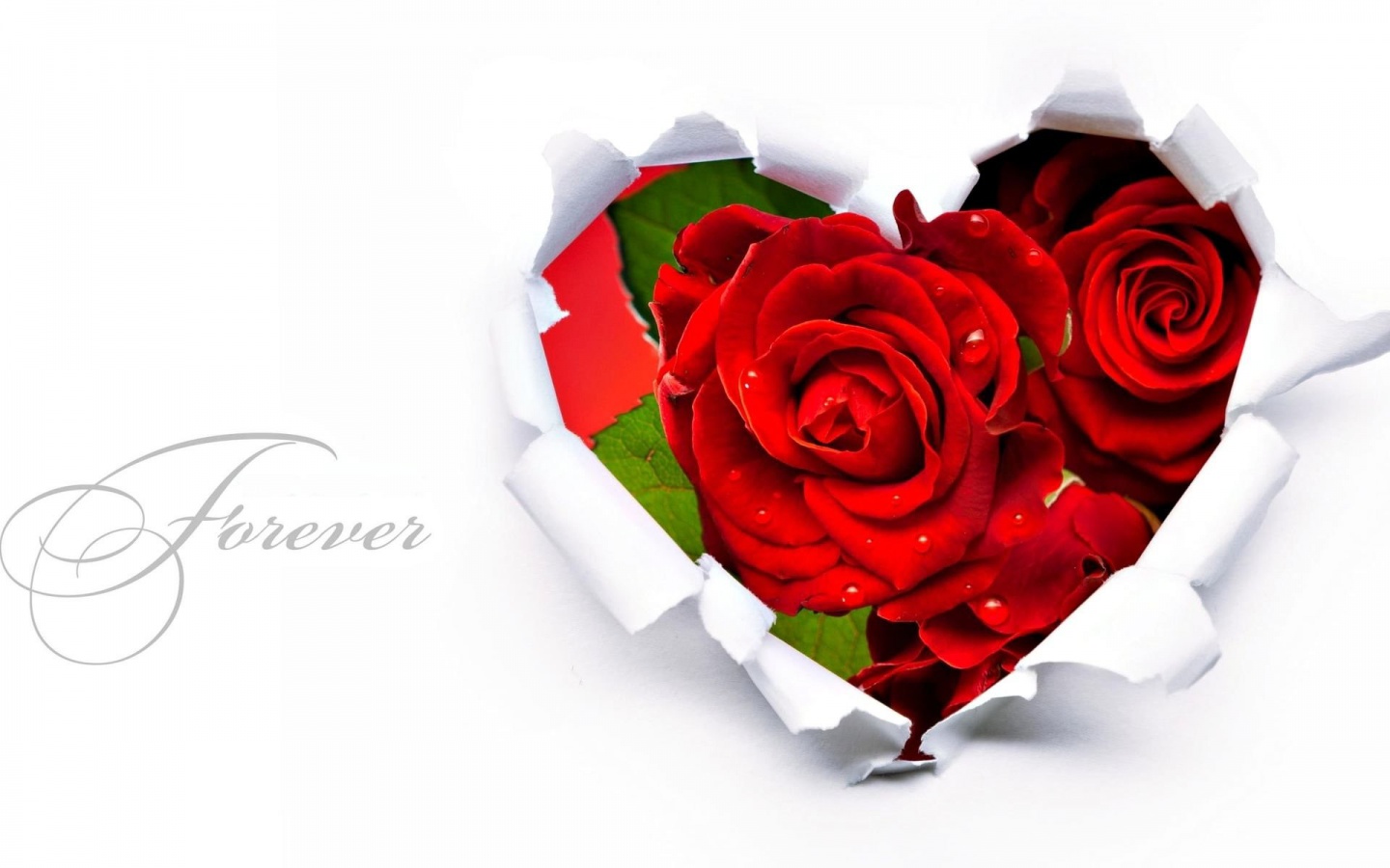 Roses - Flowers Wallpaper (31067210) - Fanpop
