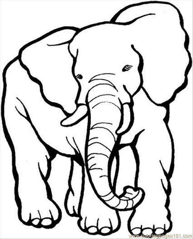 Coloring Pages Printable Elephant | Ace Images