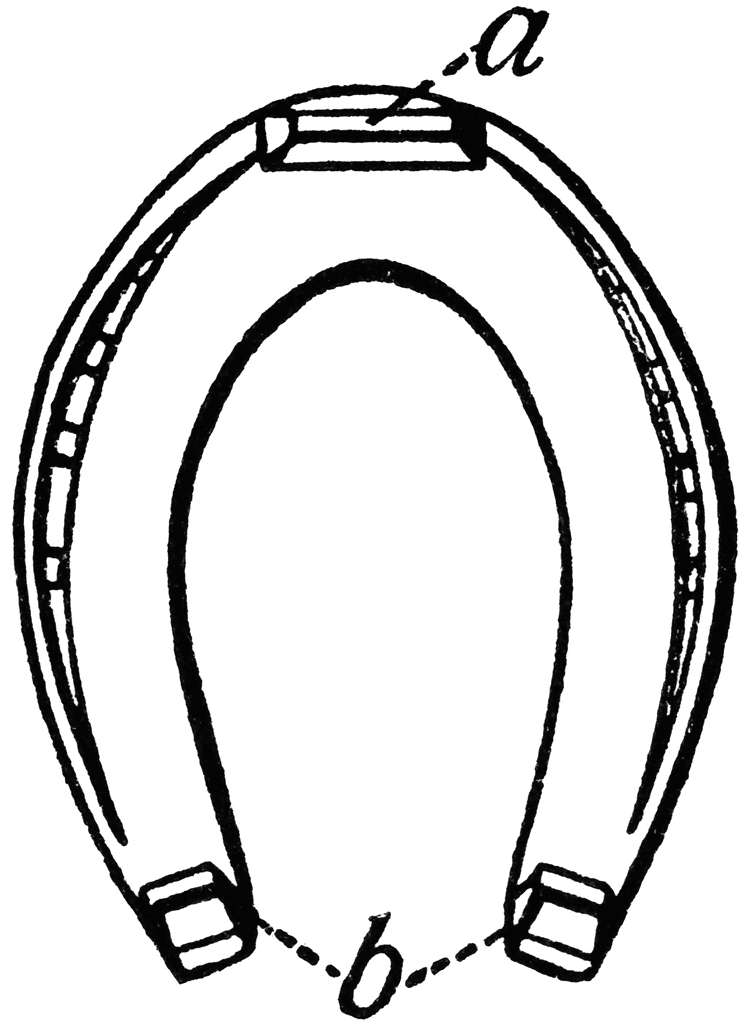 Picture Of Horseshoe