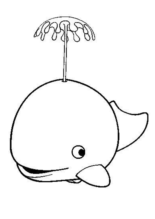WHALE coloring pages - Cute whale
