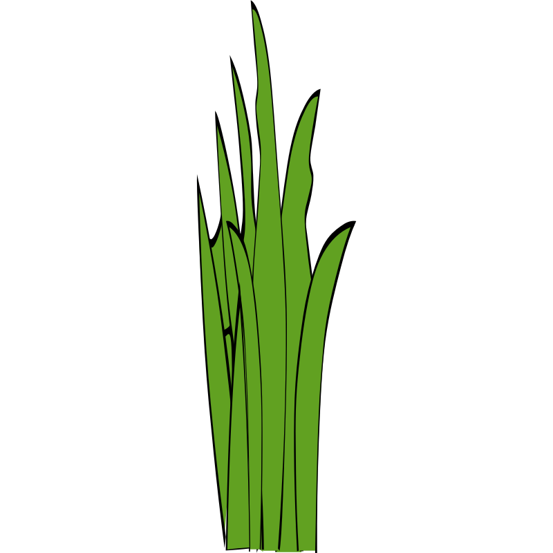 Clipart - Grass Blades and Clumps 2