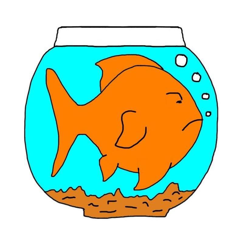 goldfish-bowl.jpg