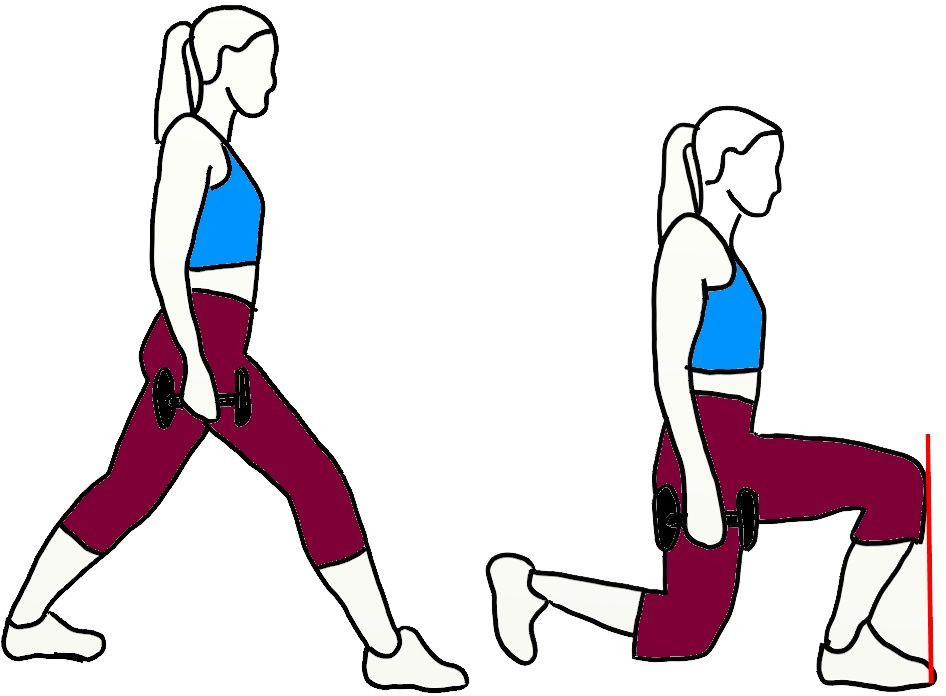 exercise programs for women - 7 tips for Fitness | UltraHomeGym ...