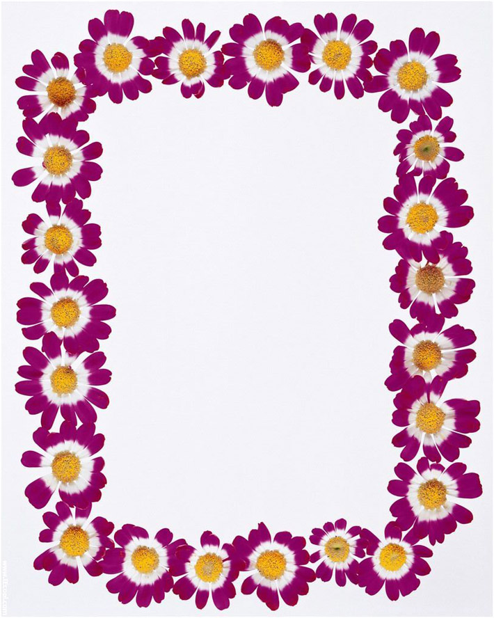 Spring Borders Clip Art Free