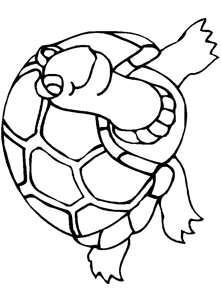 Turtle coloring page - Animals Town - animals color sheet - Turtle ...