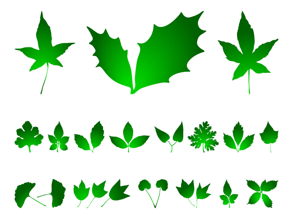 Free Leaf Vectors - 4. Page
