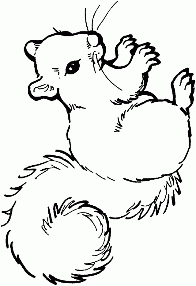 Printable Squirrel Coloring Pages Perfect For Kids 38 Animal ...