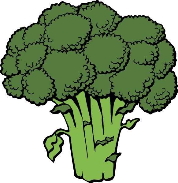 Broccoli clip art - vector clip art online, royalty free & public ...