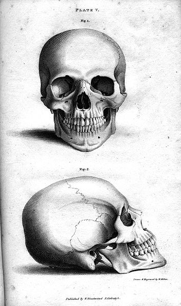 How to Draw a Skull: 50 Tutorials | Drawn in Black
