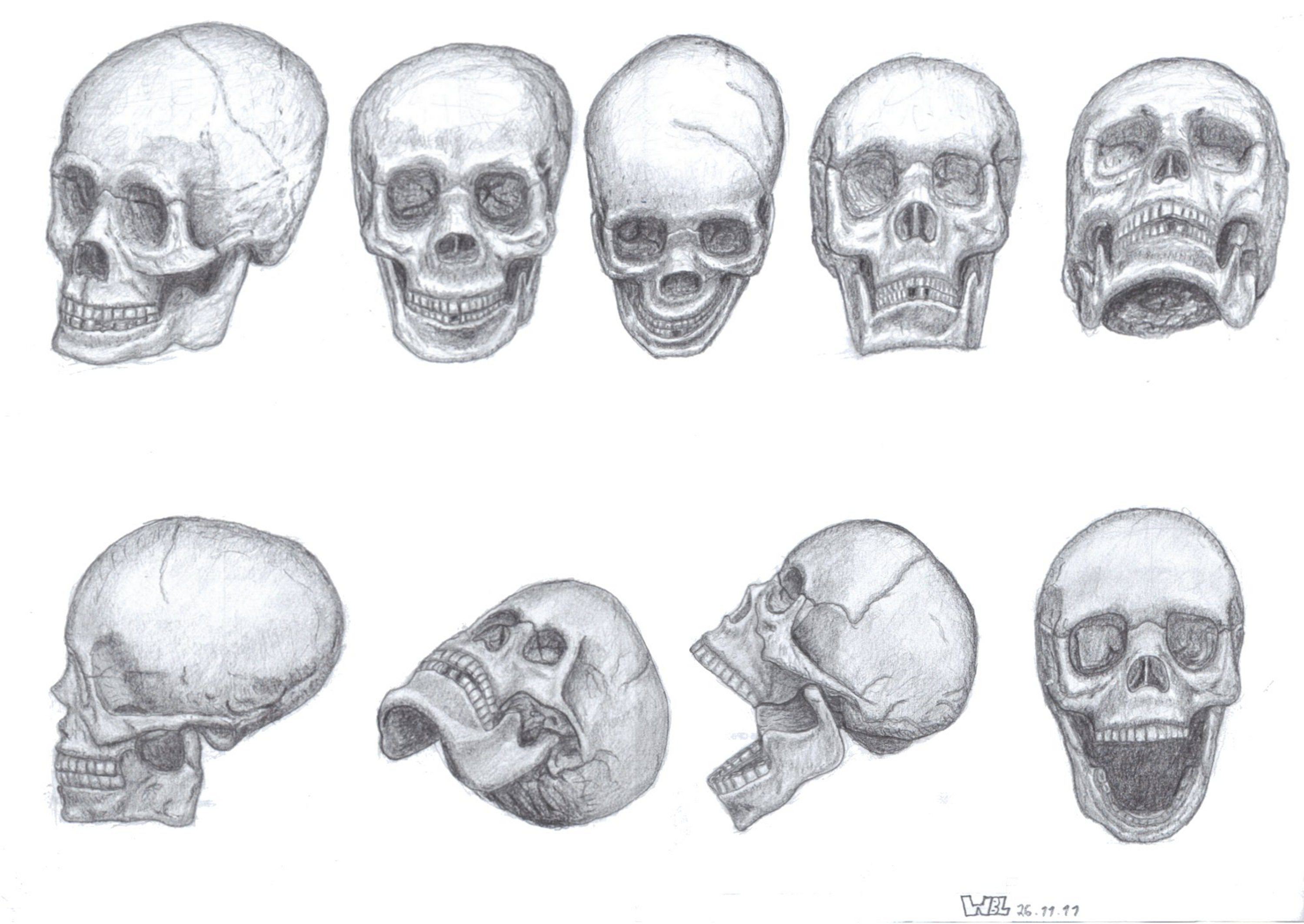 Drawing Skulls | The Art of William Blomstrom