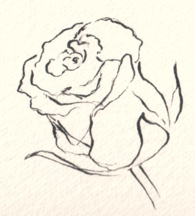 How to Draw and Sketch Flowers