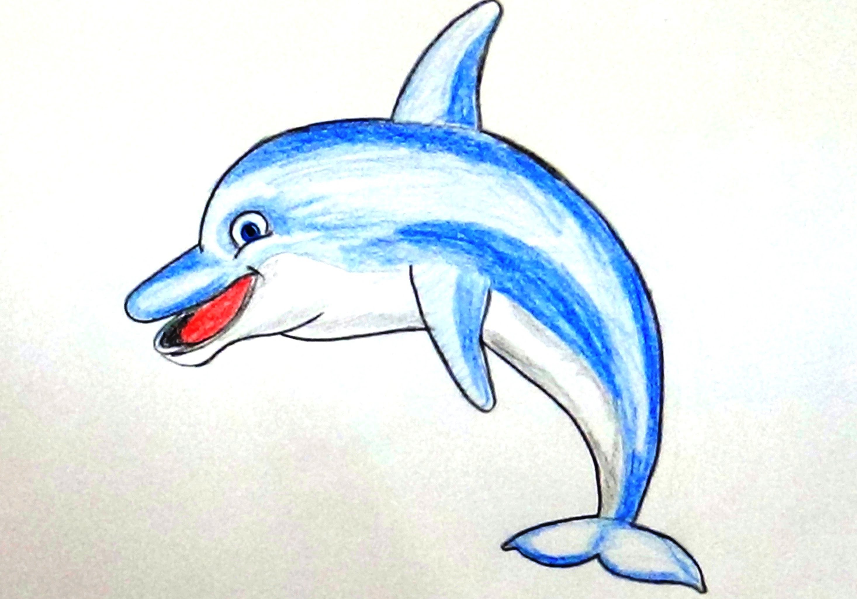 How To Draw A Dolphin / How To Color A Dolphin / For Beginners ...