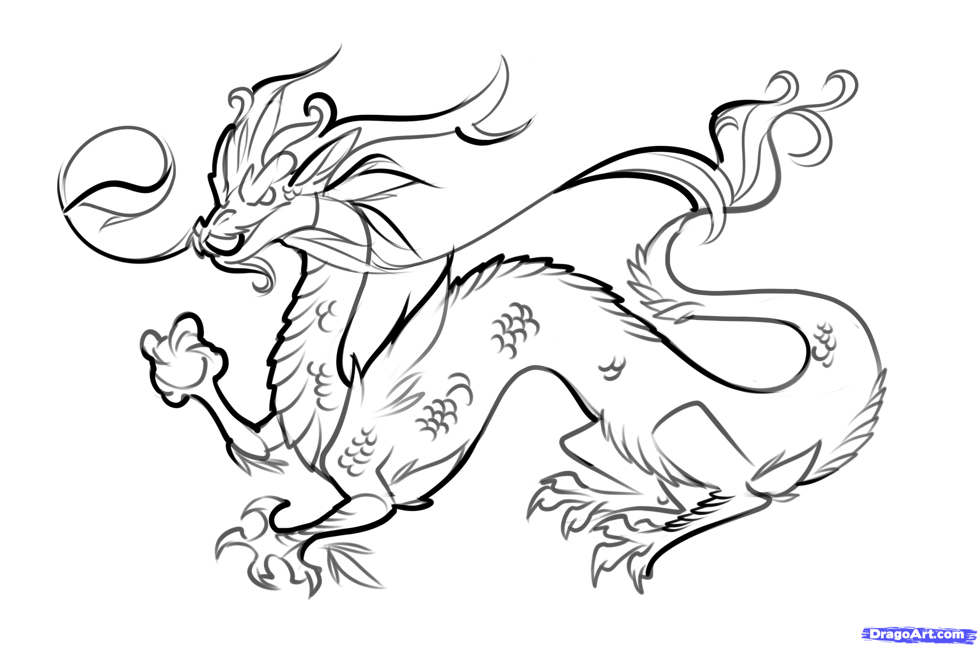 How to Draw a Chinese Dragon Easy, Step by Step, Dragons, Draw a ...