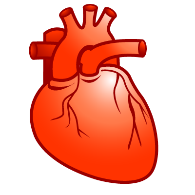Cardiology, heart icon | Icon search engine