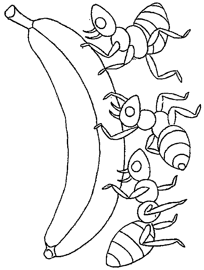 Ant Coloring Page, is for Ant Coloring Page - Drawing Kids