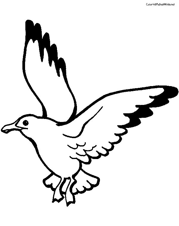 Seagull Coloring Pages | Coloring Pages For Kids