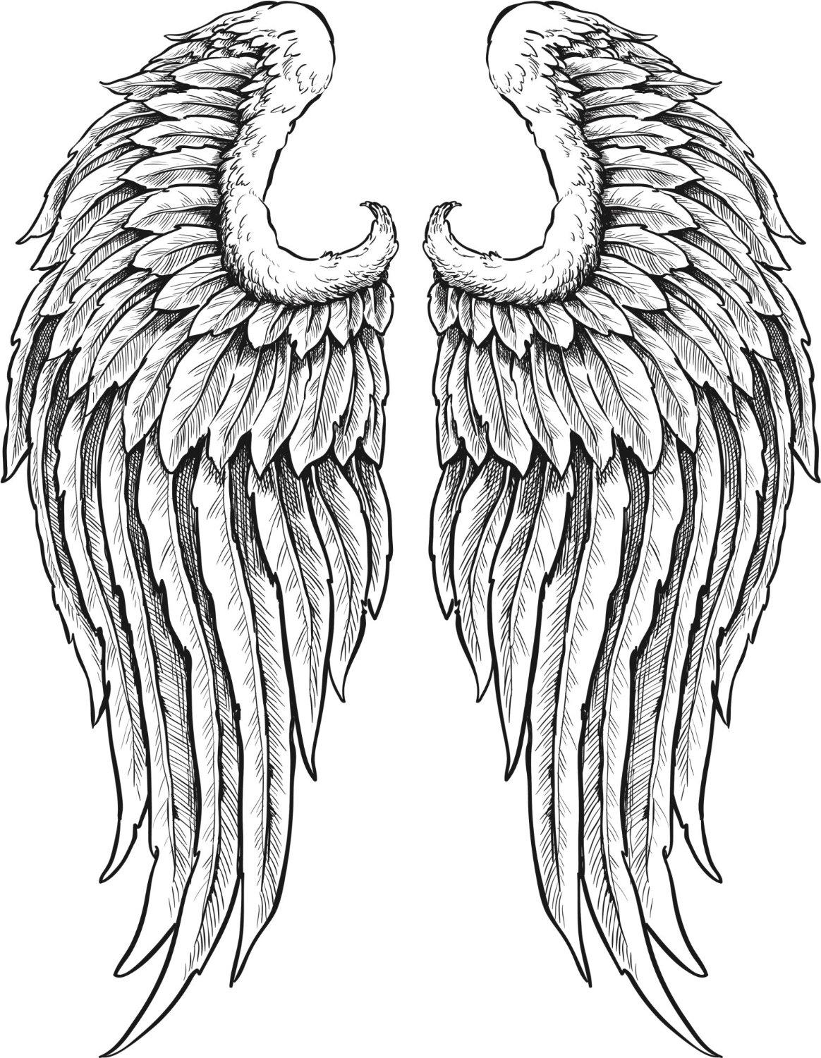 Amazon.com - DETAILED ANGEL WINGS WITH FEATHERS BLACK WHITE Vinyl ...