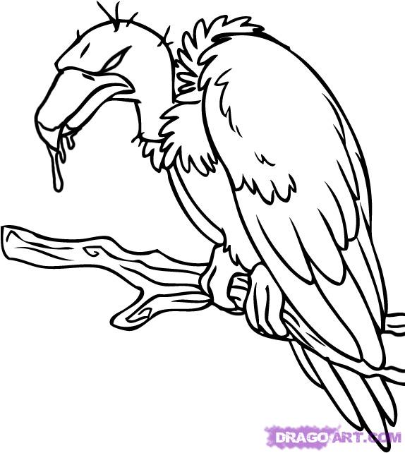 How to Draw a Cartoon Vulture, Step by Step, Cartoon Animals ...