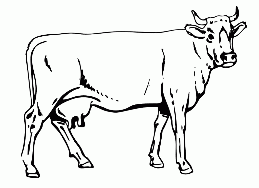 Cow-Coloring-Pages-Pictures-1024×7451 | Free coloring pages for kids