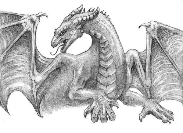 Excellent Pencil Drawings Of Dragon | Pencil Drawings Of Dragon ...