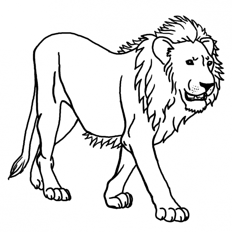 Coloring Pages With Lion | Online Coloring Pages