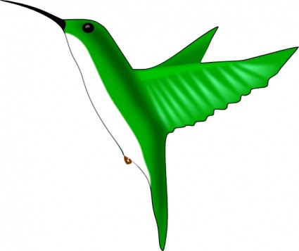 Humming Bird clip art - Download free Other vectors