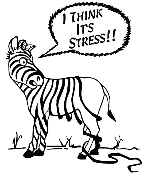 Primus Dental Design and Construction : Stress in the Dental ...