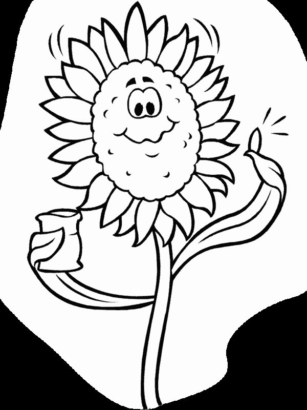 Cartoon Sunflower Coloring Pages Picture 17 – Beautiful Flower ...
