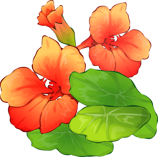 Summer Flowers Clipart | Clipart Panda - Free Clipart Images