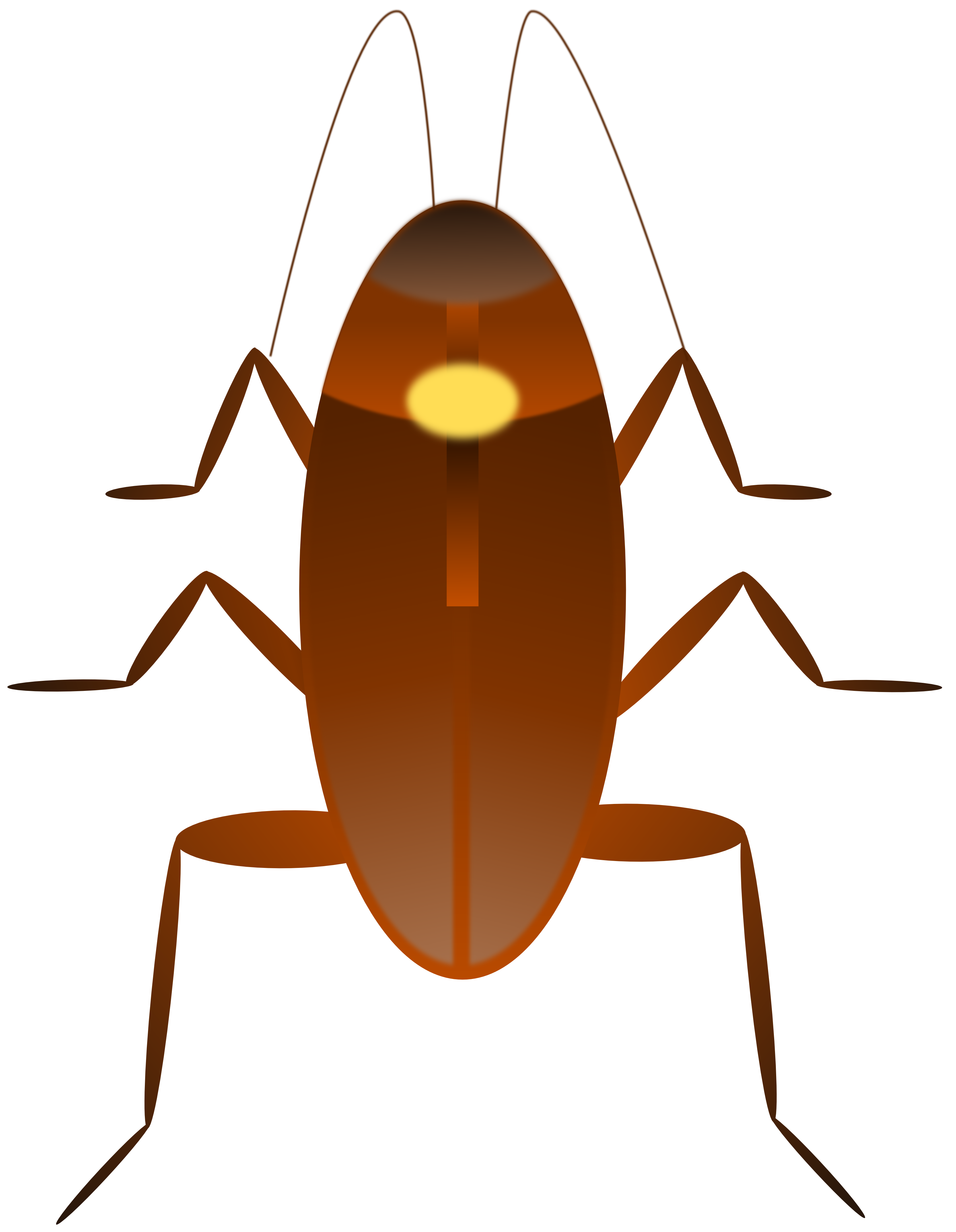 Images For > Cockroaches Clipart