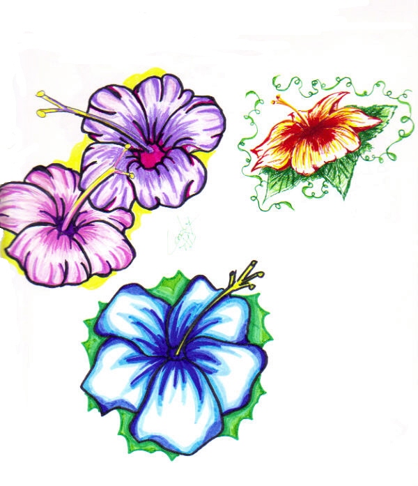 Hibiscus Flower Tattoo by SnipersAngel on deviantART