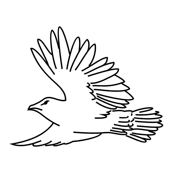 TATTOOS: Bird Tattoo Stencils