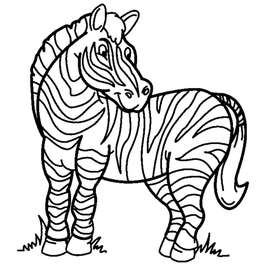 Baby Zebra Clip Art