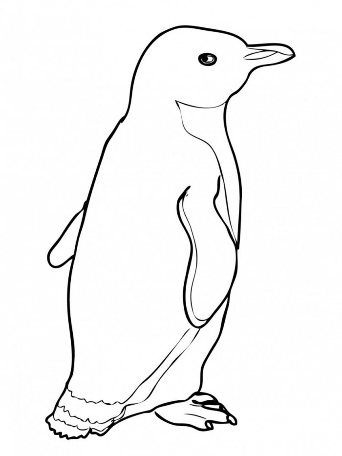 Poroporo Penguin Coloring Page | Kids Coloring Page