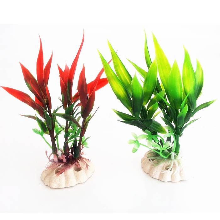 Red Bamboo Plant Promotion-Online Shopping for Promotional Red ...
