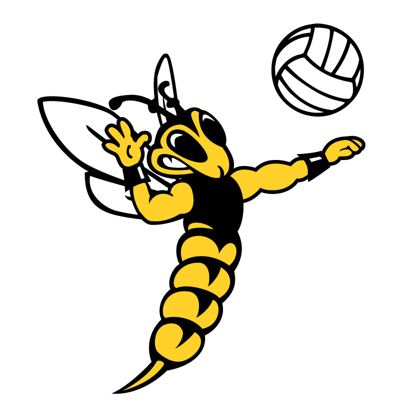 Sport graphics volleyball 866663 Sport Graphic Gif