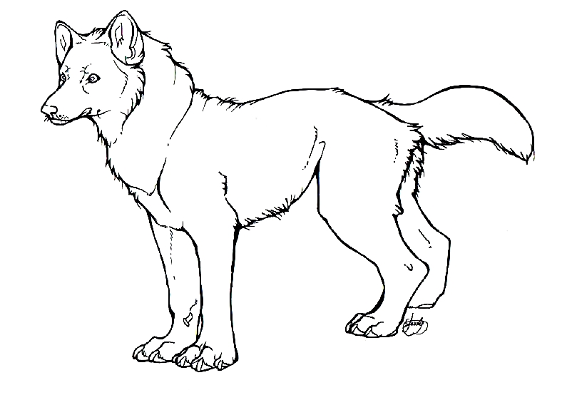 Wolf Outline Picture Images & Pictures - Becuo