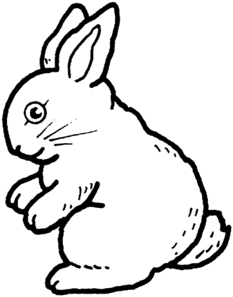 rabbit outline Colouring Pages