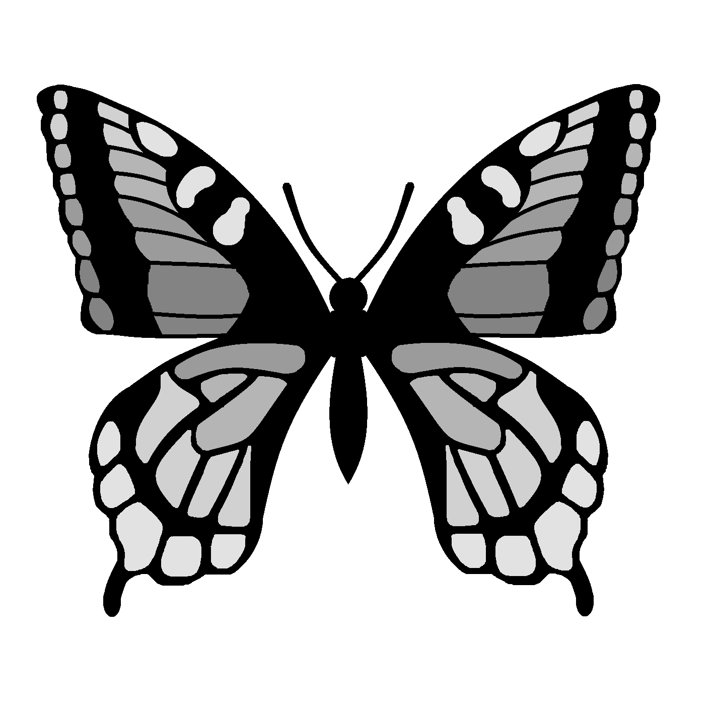 Images For > Butterfly Wings Outline Template