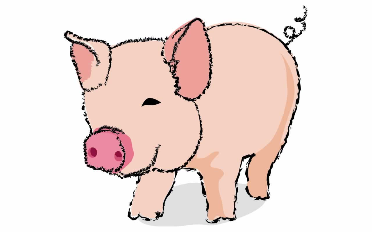 Cartoon Pig Wallpaper 22108 Hd Wallpapers in Animals - Imagesci ...