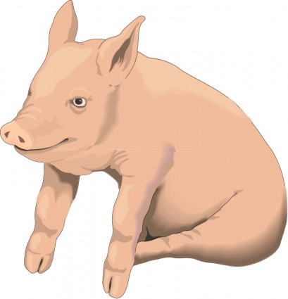 Free vector animal pig Free vector for free download (about 63 files).