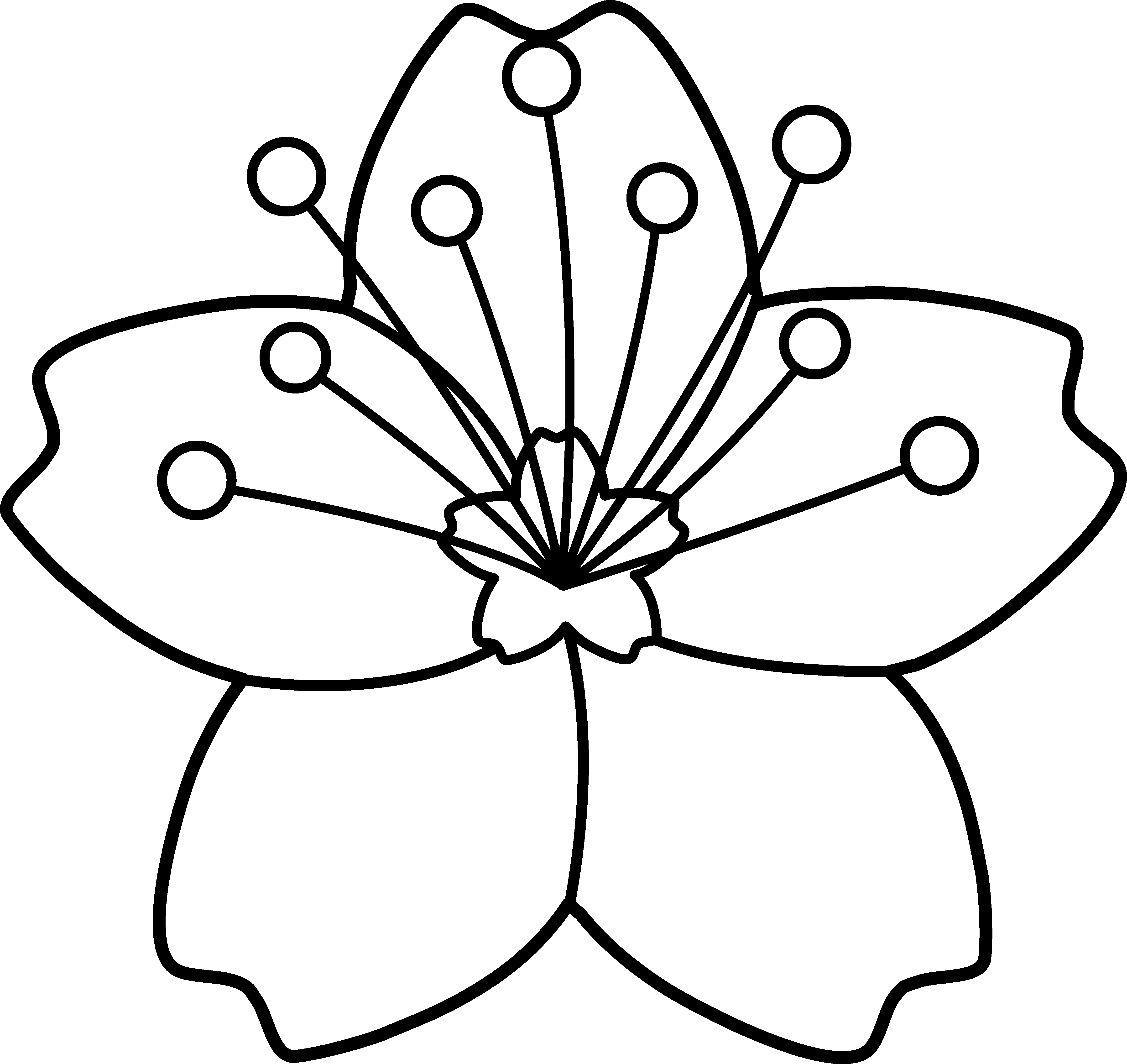 Flowers For > Simple Flower Clip Art Outline