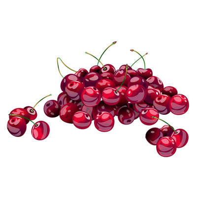 Fresh Vector Cherries Clipart | ExtraVectors.com | Free Vectors ...