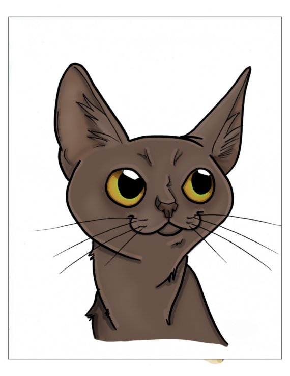 8x10 Burmese cat caricature by J.Bird color and by jbirdistheword