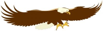 Soaring Eagle clip art - Download free Other vectors