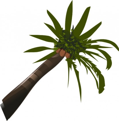 Coconut palm leaf Free vector for free download (about 3 files).