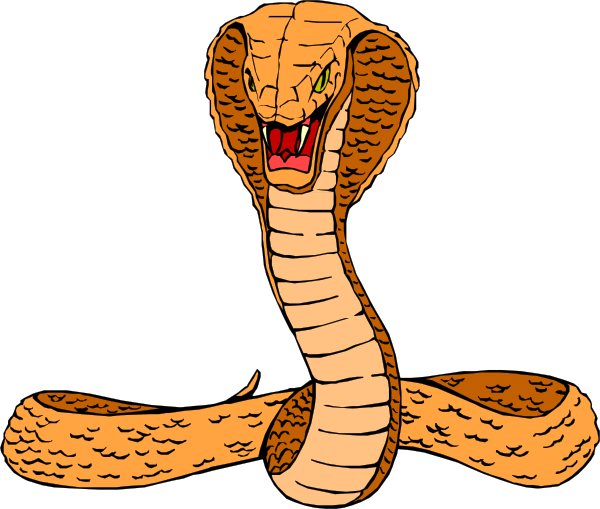 Reptile Clipart - Cliparts.co